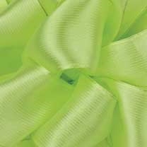 Clean Green Prelude Sheer Wire Edge Ribbon