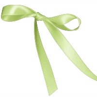 Lime Juice Single Face Satin Ribbon