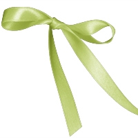 Lemon Grass Single Face Satin Ribbon