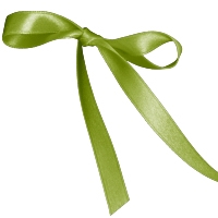 Jungle Green Single Face Satin Ribbon