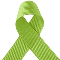 Offray New Chartreuse Grosgrain Ribbon