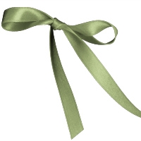 Spring Moss Single Face Satin Ribbon