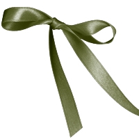 Moss Single Face Satin Ribbon