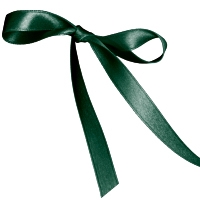 Hunter Single Face Satin Ribbon