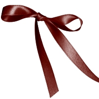 Rust Single Face Satin Ribbon