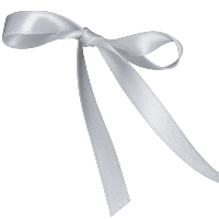 Shell Grey Single Face Satin Ribbon