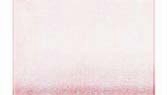 Powder Pink Lady Chiffon Sheer Offray Ribbon