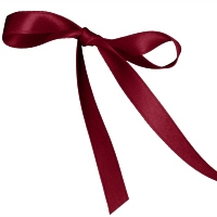 Wine Single Face Satin Ribbon