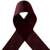 Offray Burgundy Grosgrain Ribbon