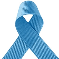 Offray Blue Grosgrain Ribbon