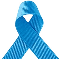 Offray Island Blue Grosgrain Ribbon