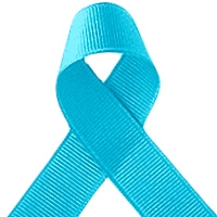 Offray Turquoise Grosgrain Ribbon