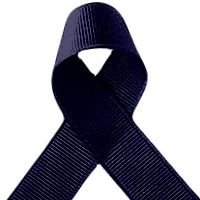 Offray Light Navy Grosgrain Ribbon