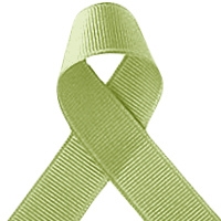 Offray Lime Juice Grosgrain Ribbon