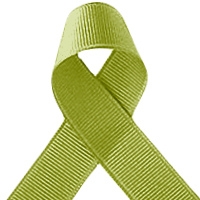 Offray Pistachio Grosgrain Ribbon