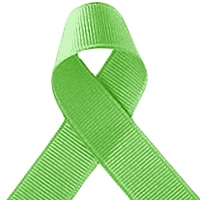 Offray Lime Grosgrain Ribbon