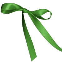 Kiwi Single Face Satin Ribbon