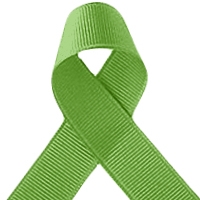 Offray Apple green Grosgrain Ribbon