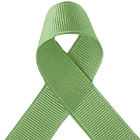 Offray Spring Moss Grosgrain Ribbon