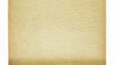 Dijon Lady Chiffon Sheer Offray Ribbon
