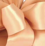 Champagne Contessa Single Face Satin Wire Edge Ribbon