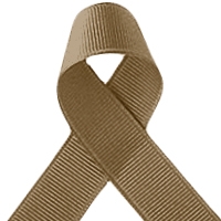 Offray Khaki Grosgrain Ribbon