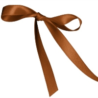 Coffee Single Face Satin Ribbon