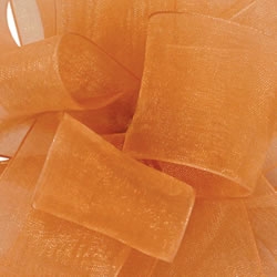 Copper Penny Simply Sheer Asiana Ribbon