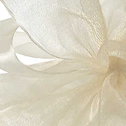 Cream Simply Sheer Asiana Ribbon